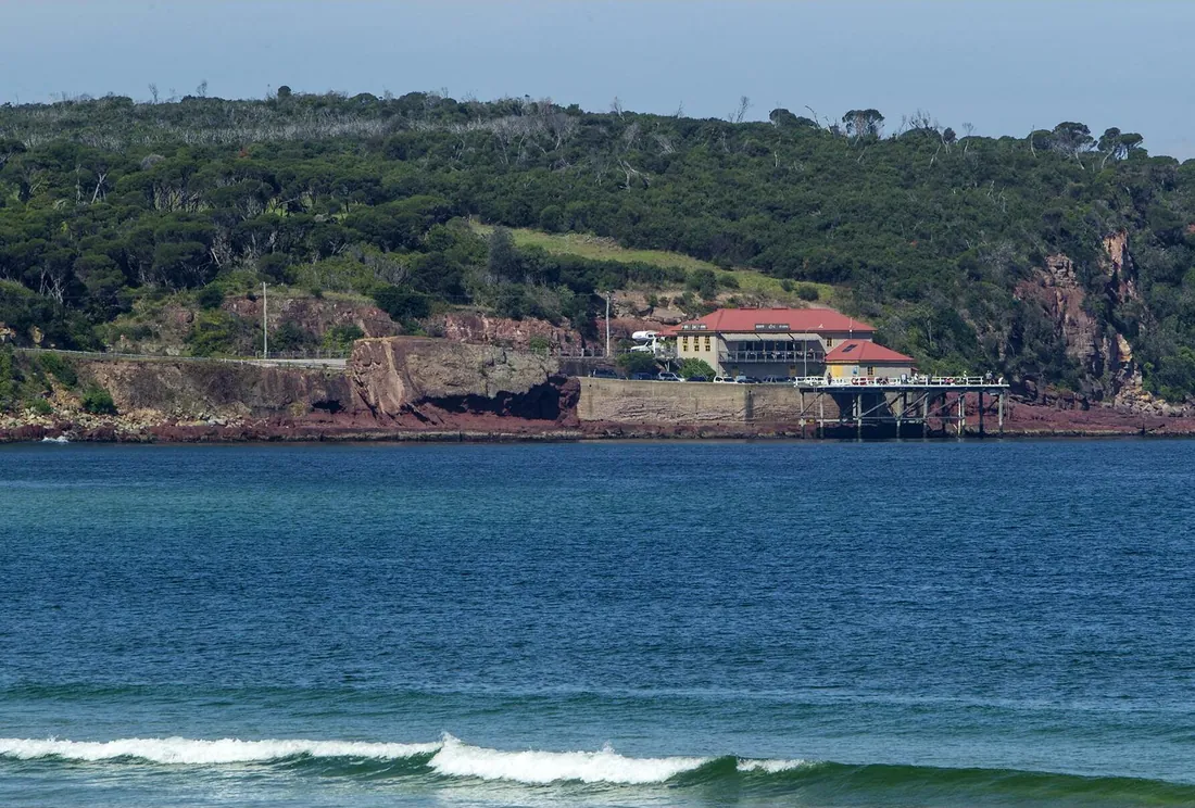 Whales, oysters & the wharf