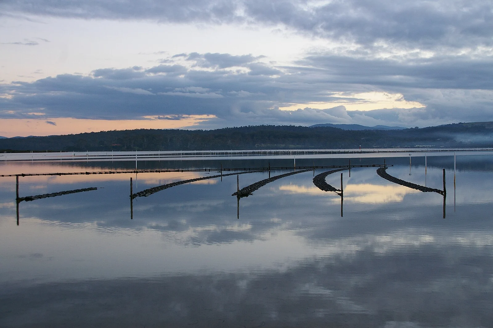 Oyster leases on Merimbula Lake at dawn